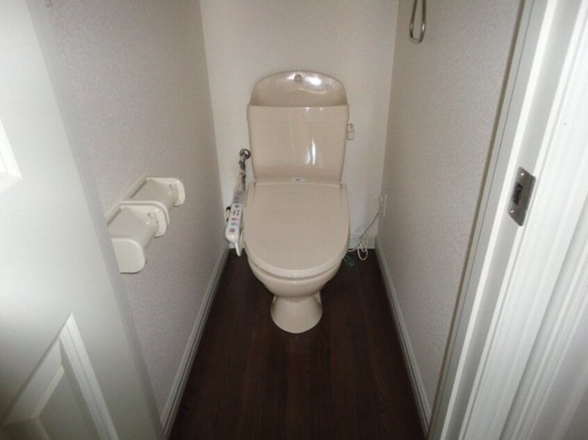 同型参考写真 オルテンシア　アソ