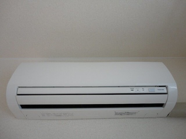 同型参考写真 オルテンシア　アソ