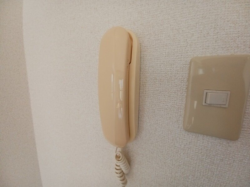同型参考写真 アニバーサリー
