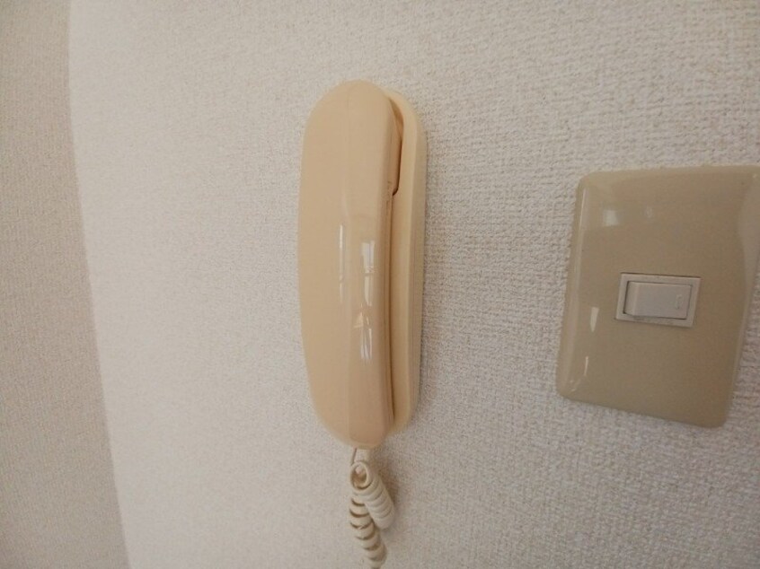 同型参考写真 アニバーサリー