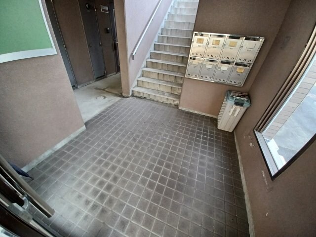  ヴェルドミール