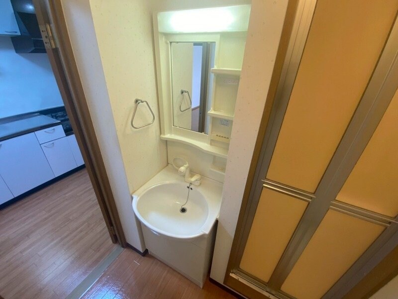 人気のシャンプードレッサー ヴェルドミール