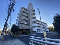 URBAN STAGE SHAMROCK