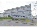 レナ三宅