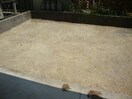  シャンテクレア