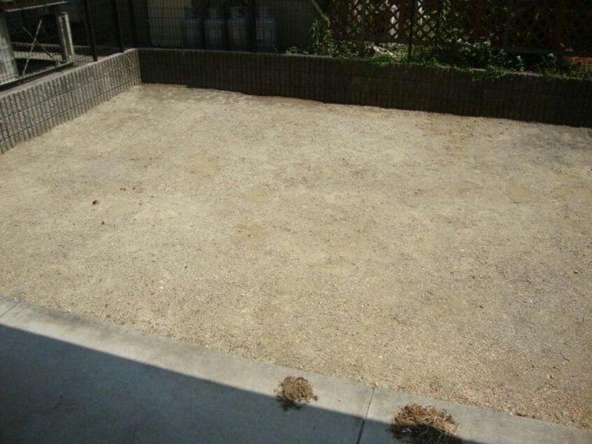  シャンテクレア