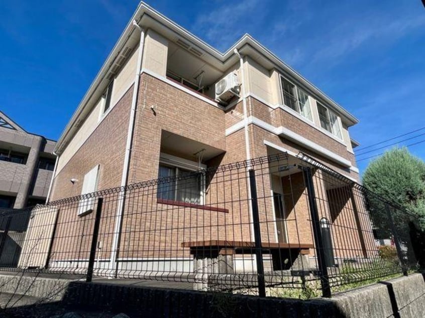  フィールドフォックス５