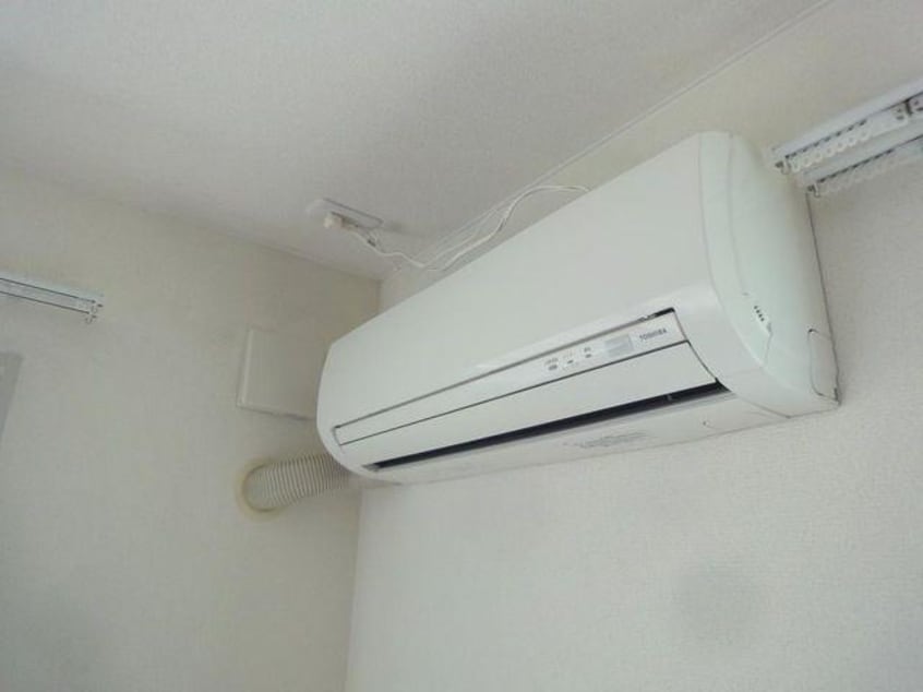  フィールドフォックス５