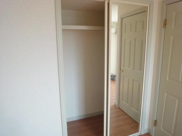  フィールドフォックス５