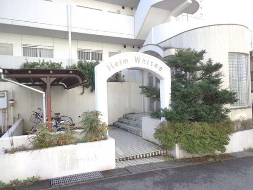  ハイムホワイツ