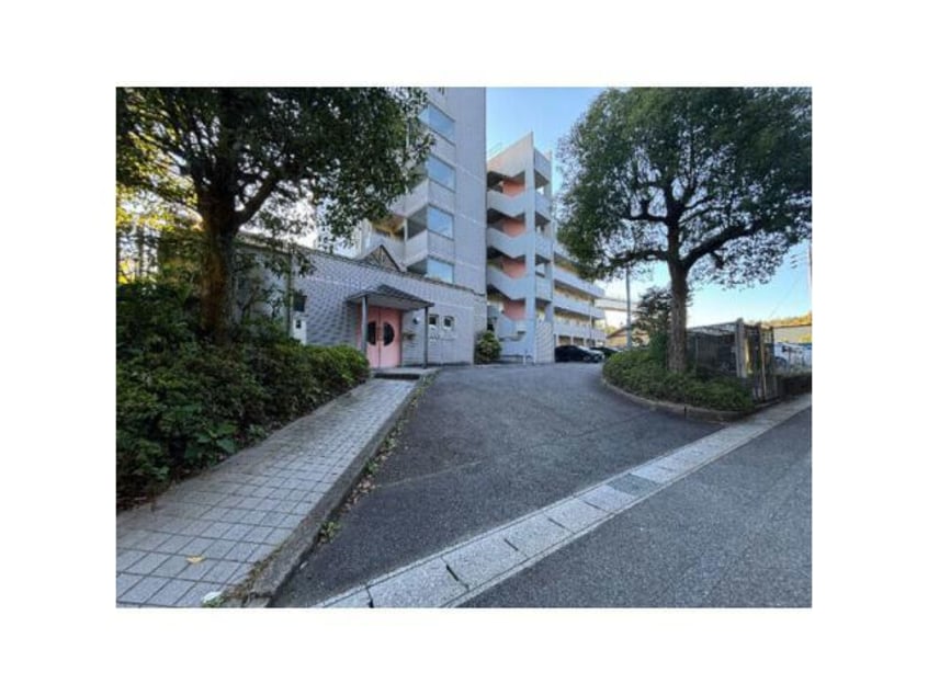  ピア・ボナール