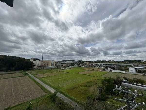  愛知高速交通東部丘陵線<リニモ>/芸大通駅 徒歩18分 6階 築35年