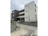 アイリッシュ