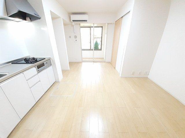  アイギス（aigis）