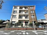 Chou　Chou一社