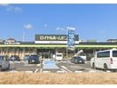 ロイヤルホームセンター日進香久山(電気量販店/ホームセンター)まで2656m 名古屋市営地下鉄東山線/星ヶ丘駅 バス17分大平下車:停歩1分 2階 築31年