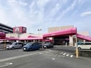 アオキスーパー長久手店(スーパー)まで1311m 愛知高速交通東部丘陵線<リニモ>/長久手古戦場駅 徒歩14分 2階 築39年