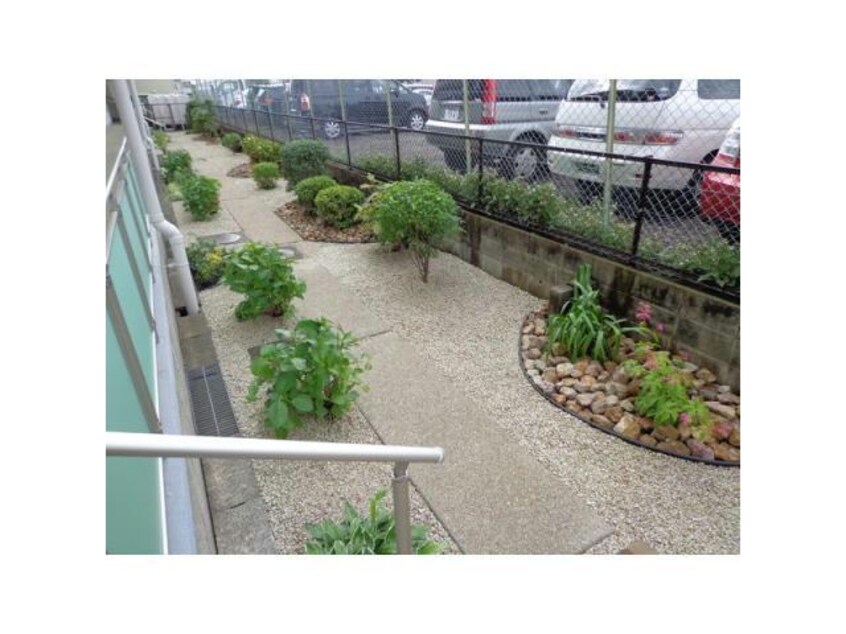 2024 クオーレコウヨウ