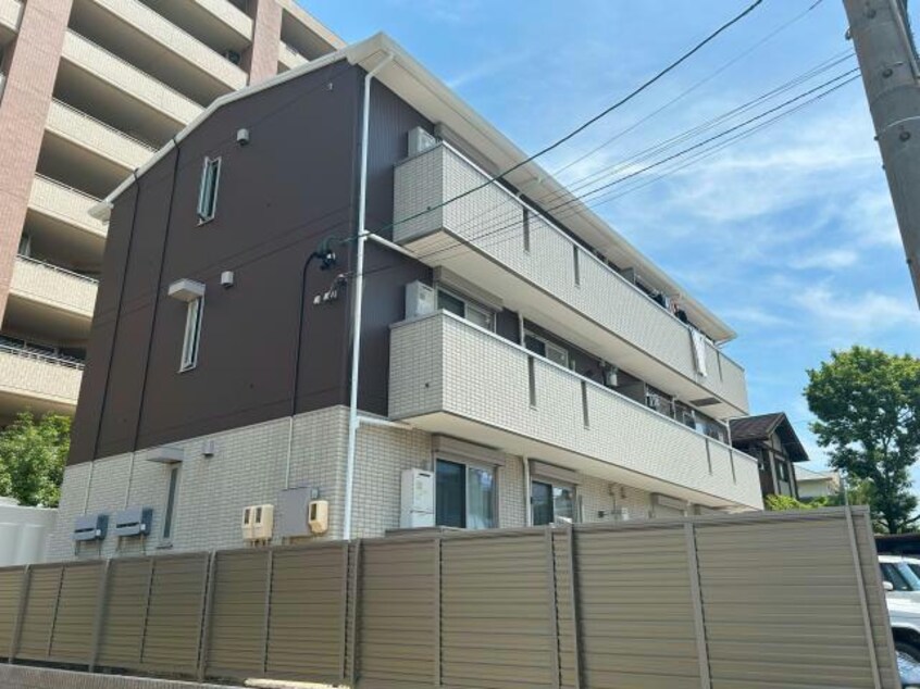  アコルト・シェーン