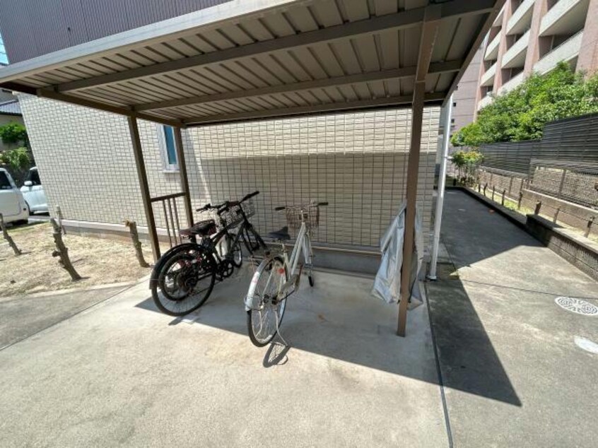  アコルト・シェーン