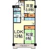 レジデンスα 2LDKの間取り