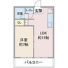 コーポ小池 1LDKの間取り