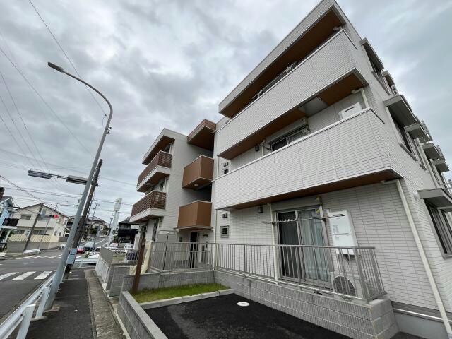  ローブ花水木