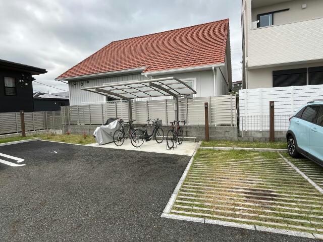  ローブ花水木
