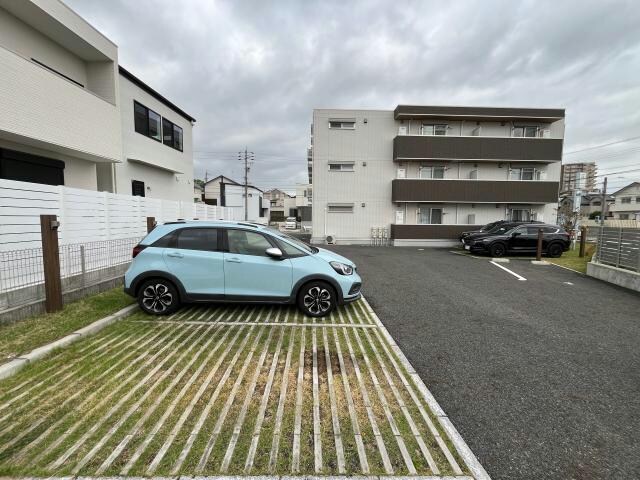  ローブ花水木