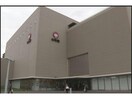 エディオン鹿児島国分山形屋店(電気量販店/ホームセンター)まで464m クリスタルハーモニー