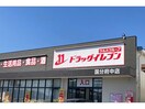 ドラッグイレブン国分府中店(ドラッグストア)まで1383m ASTRO Ｂ棟
