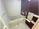  Ｖivo B.H.T　