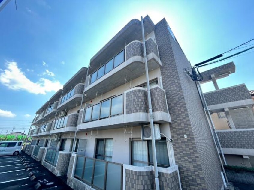  ユーミーあんず