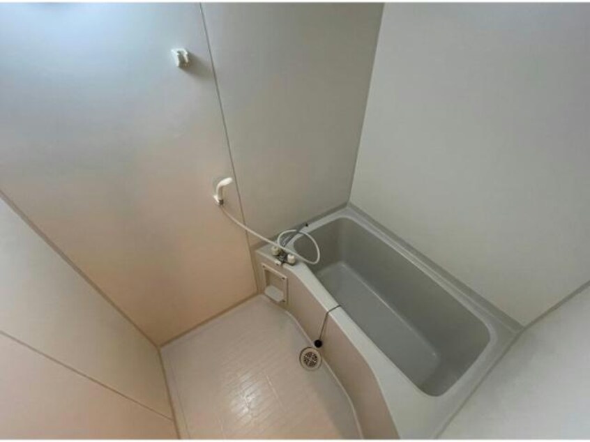  ユーミーあんず