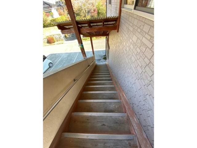  インターハイツ