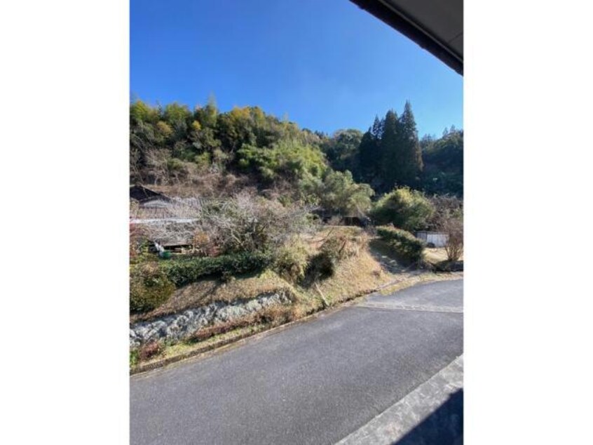  インターハイツ