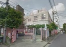 寺島保育園(幼稚園/保育園)まで252m 藤野ビル