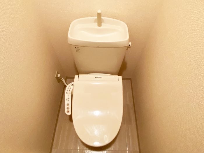 参考写真 Ｗ.Ｉ.Ｔパレス