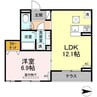 アヴァンス西亀有 1LDKの間取り