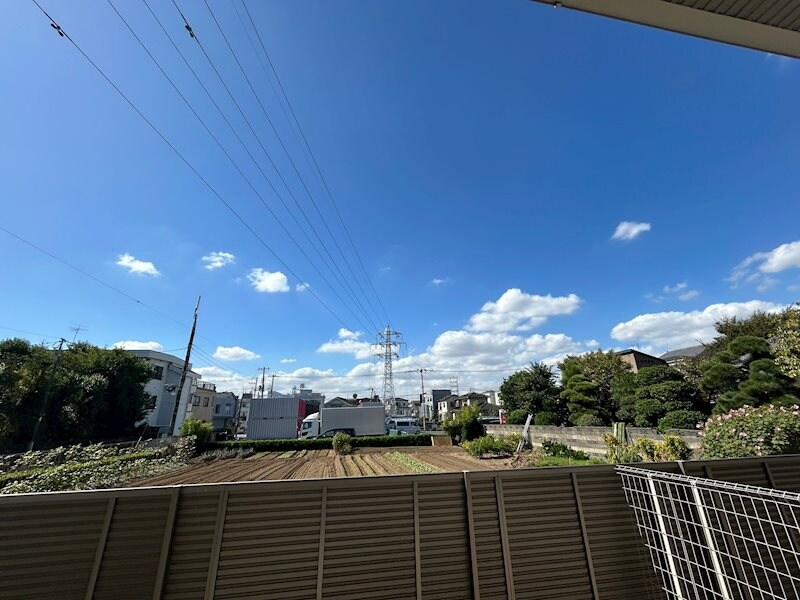 参考写真 オアシス　パティオ