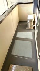  シャンティオン
