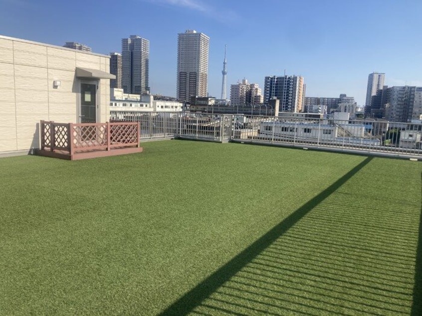 屋上ドッグラン利用可能♪ M HOUSE GRANDE