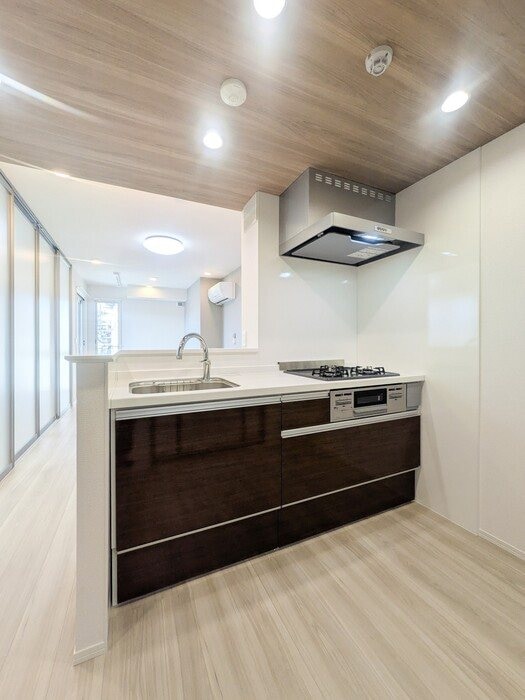 参考写真 セレスティア六町II