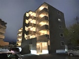 ヴィガラスＭ