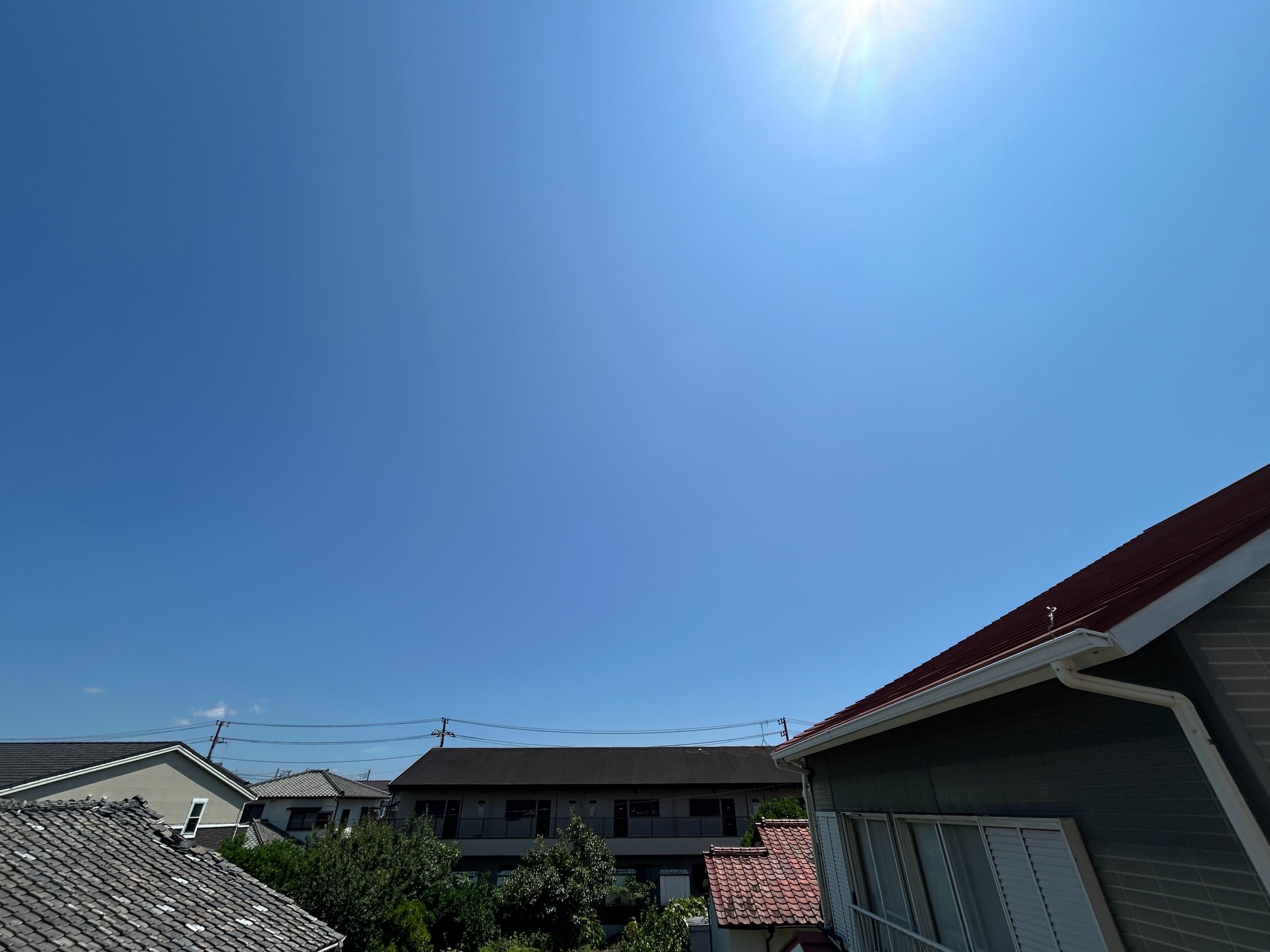  ドラマージュ