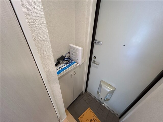  ヴィガラス