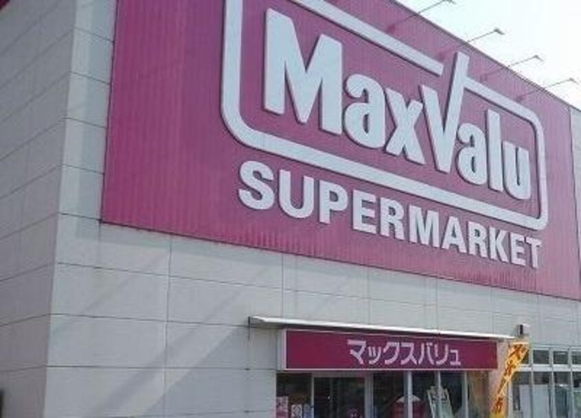 マックスバリュ函南店(スーパー)まで843m ヴィガラスＳ
