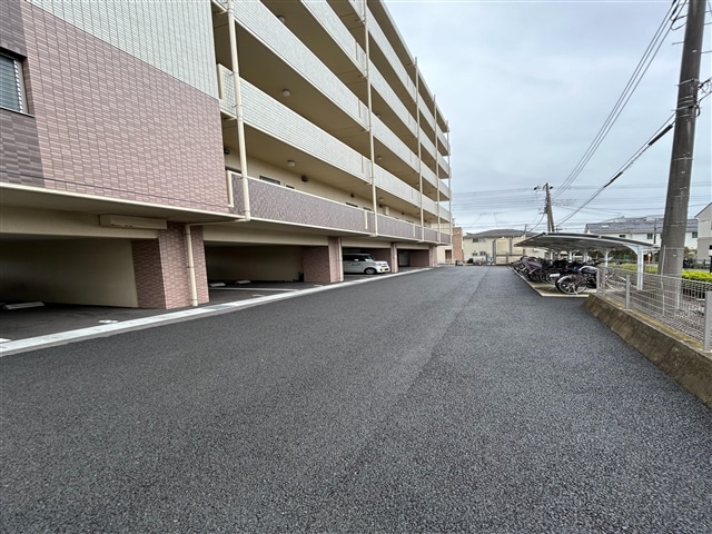  ヴィガラス下土狩