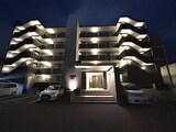シェルフ藤