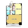 モアナコート 1LDKの間取り